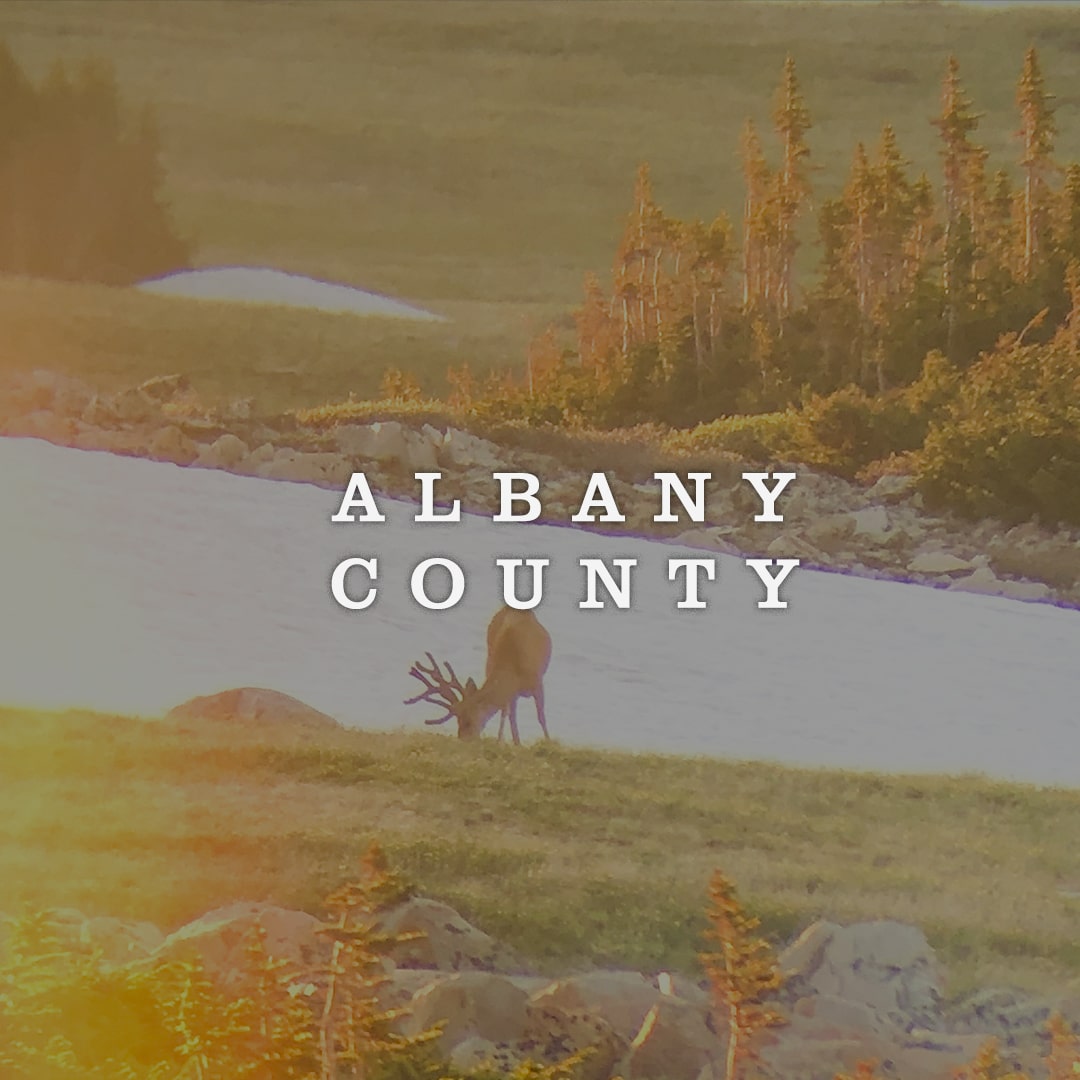 Albany County Cover Photo