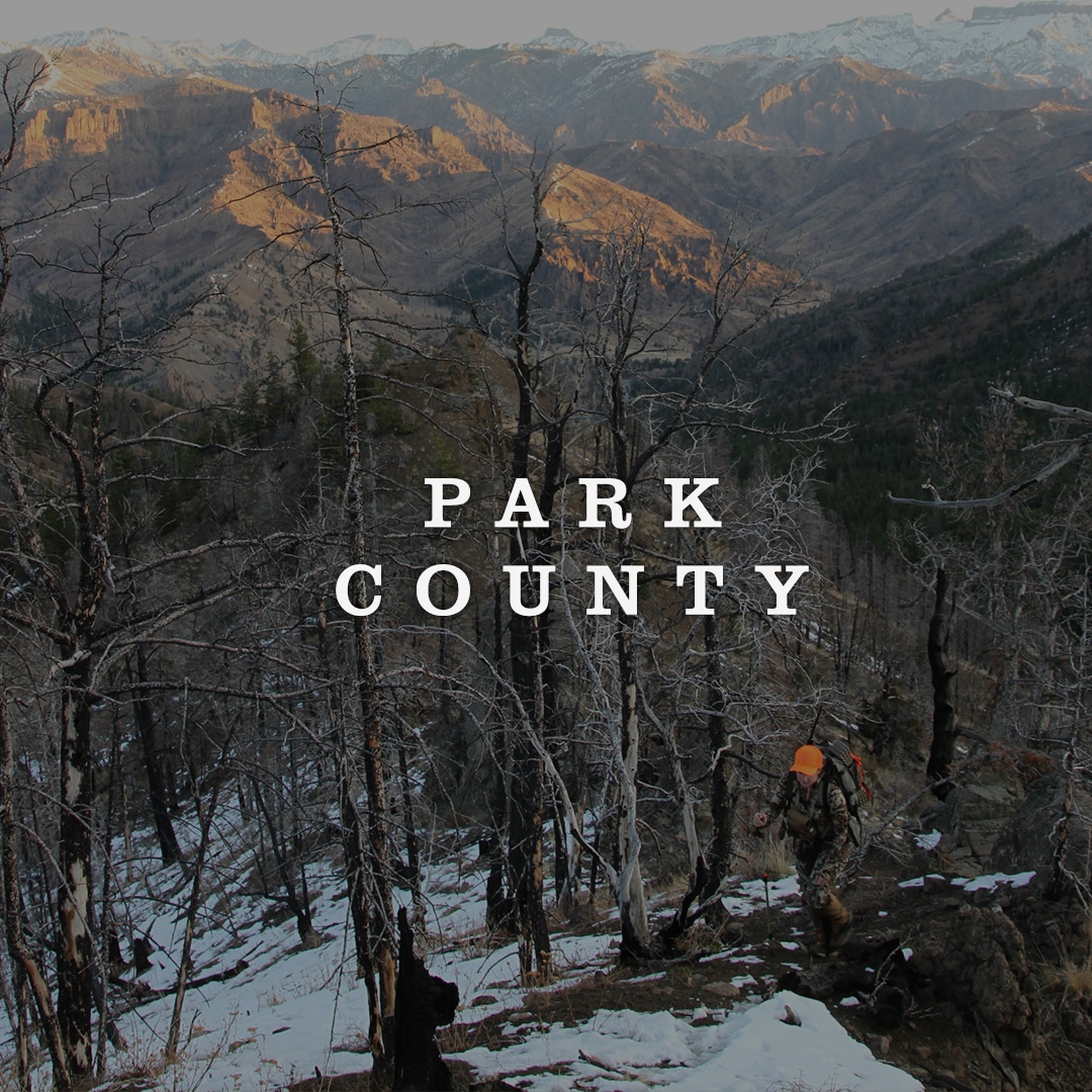 Park County Cover Image